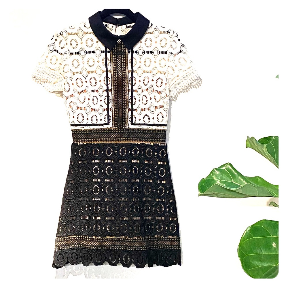Timeless black and white Dress